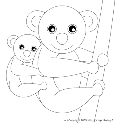 Maman et bébé koala