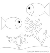 Aquarium et poissons