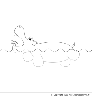 Hippopotame nageur