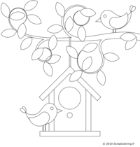 Nichoir - Maison pour oiseaux