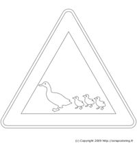 Panneau Canards