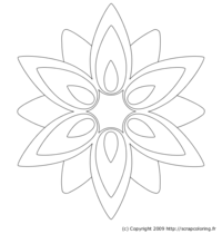 Rosace Fleur
