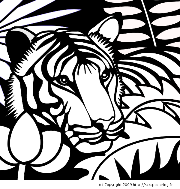 Coloriage disney mystere tigre lion jungle à imprimer