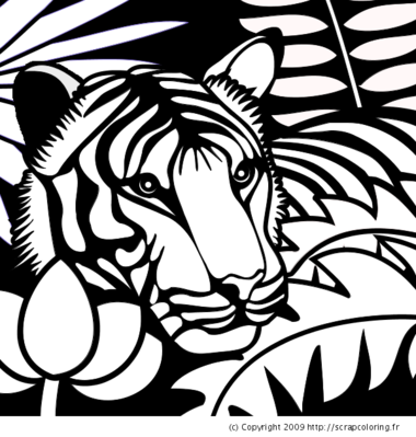 Tigre dans la jungle