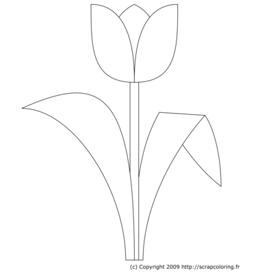 Tulipe -- 09/04/10