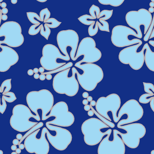 Hibiscus Bleu-Ciel Bleu